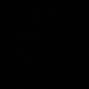 Meet your Posher, Aracely